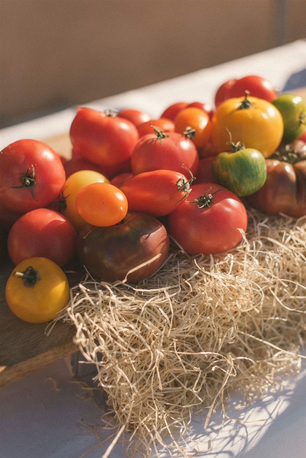 Mariage Mélanie & FX par La Dichosa